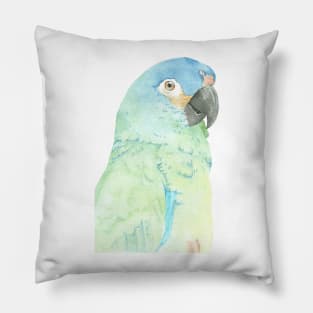 blue-winged macaw parrot portrait watercolor painting tropical pet v2 Pillow