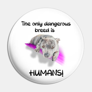 The only dangerous breed is HUMANS! Pin