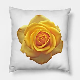 Yellow Rose Flower Graphic Art Print Pillow