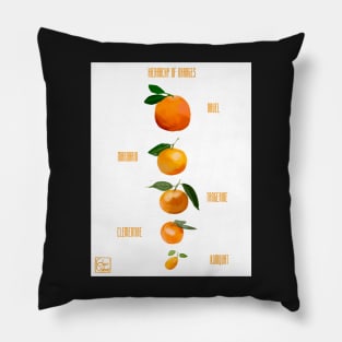 Hierarchy of Oranges Pillow