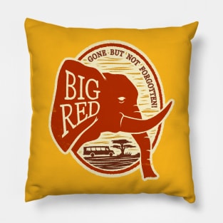 Big Red Pillow