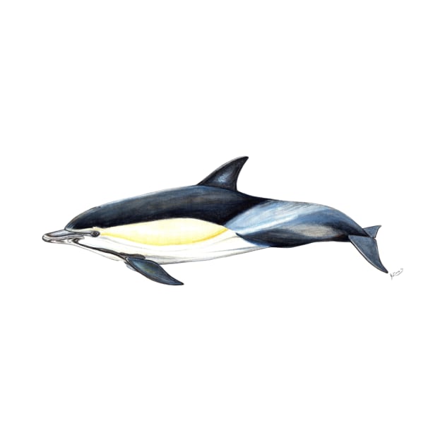 Common dolphin by chloeyzoard