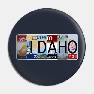 Idaho License Plates Pin