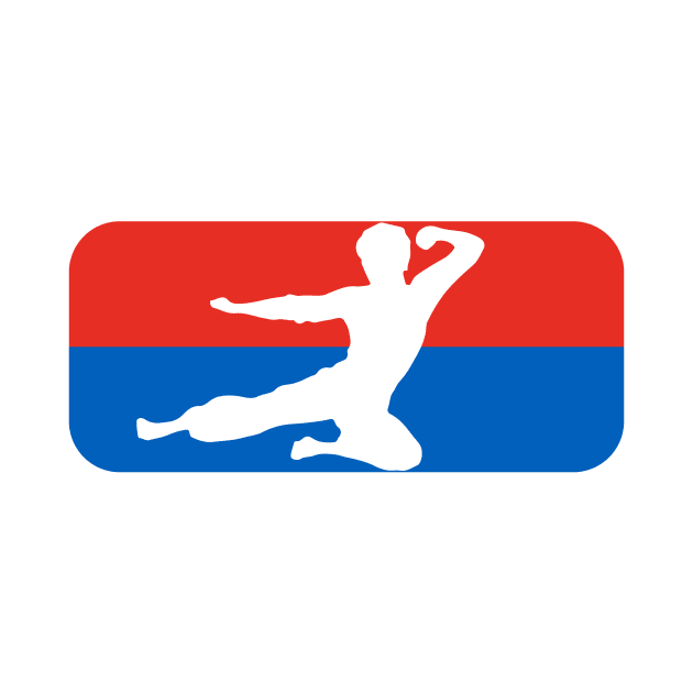 Kung Fu -   fly kick logo - NBA style by mrsupicku