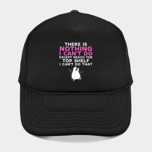 There Is Nothing I Cant Do Except Reach The Top Shelf Funny Hat