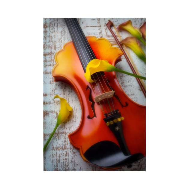 Yellow Calla Lillies And Baroque Violin by photogarry