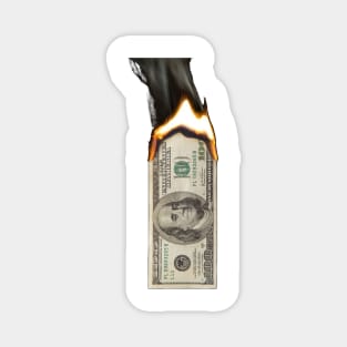 money burns USA Magnet