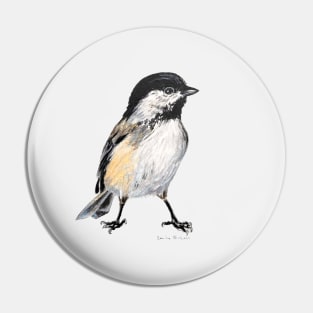 Chickadee 6 drawing Pin