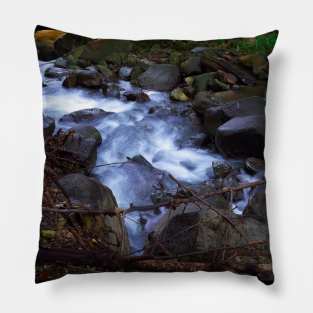 Forest stream Pillow