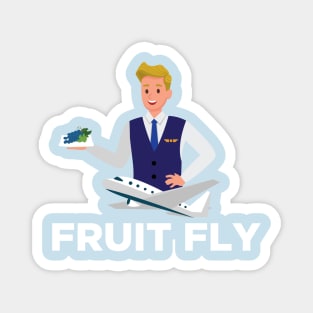 Fruit Fly Magnet