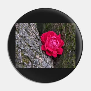 Pink Flower in Tree 2 Pin