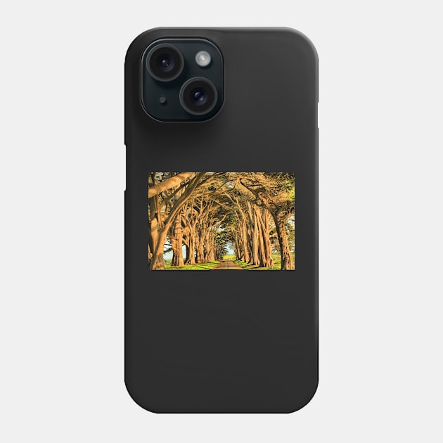 Cypress Lined Road Phone Case by AdamJewell