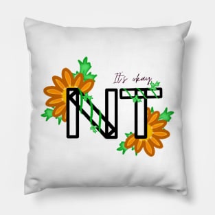 NT [Nice Try] Pillow