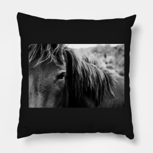 Wild Horse Up Close Pillow