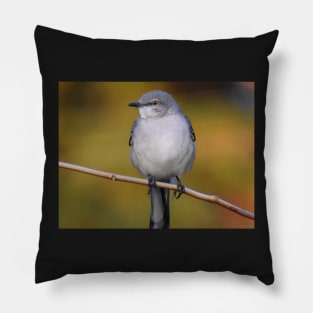 Mockingbird perched 2 Pillow