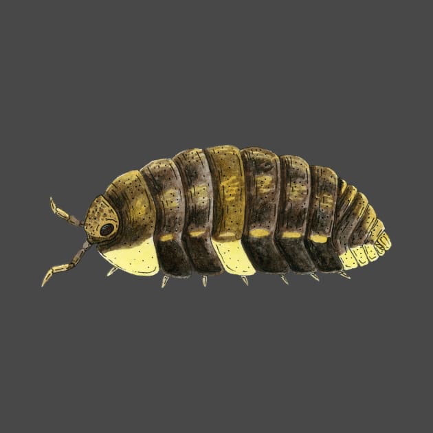 Neotroponiscus lenkoi Isopod by paintedpansy