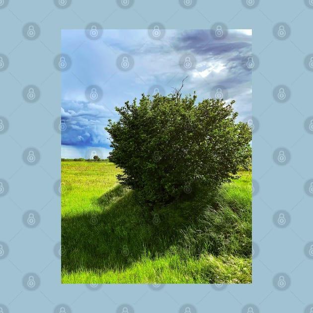 Nature Green Grass Tree Sky Clouds Italian Landscape by eleonoraingrid