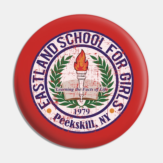 Eastland School for Girls, distressed and faded Pin by hauntedjack