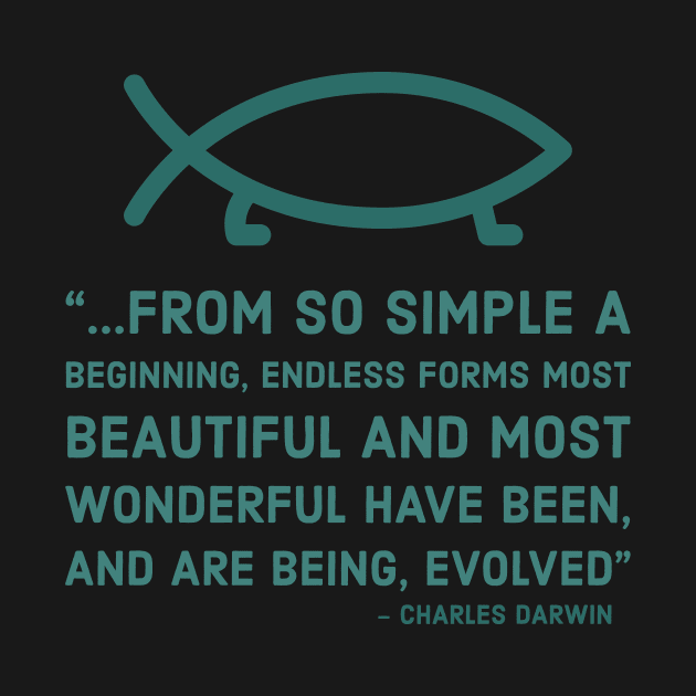 From so simple a beginning - Darwin quote by Room Thirty Four