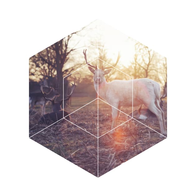 Magical Deer Geometric Photography by deificusArt