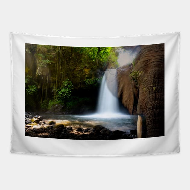 Elephant Spirit Waterfall Tapestry by JimDeFazioPhotography