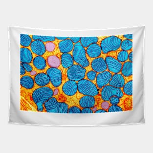 Mitochondria, TEM (G465/0071) Tapestry