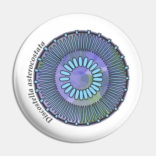 Diatom - Discostella asterocostata (scientific) Pin