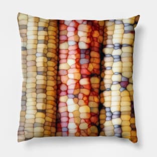 Abstract Indian Corn Pillow