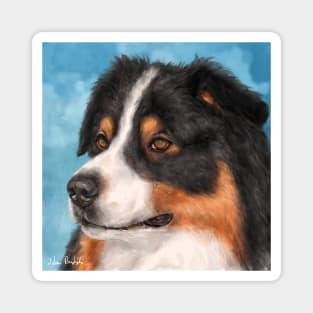 Painting of a Gorgeous Australian Shepherd Magnet