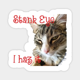 STANK EYE, I haz it! annoyed Maine Coon cat Magnet