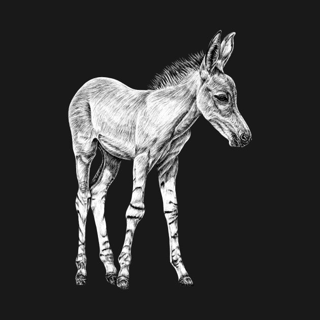 Somali wild ass foal illustration by lorendowding