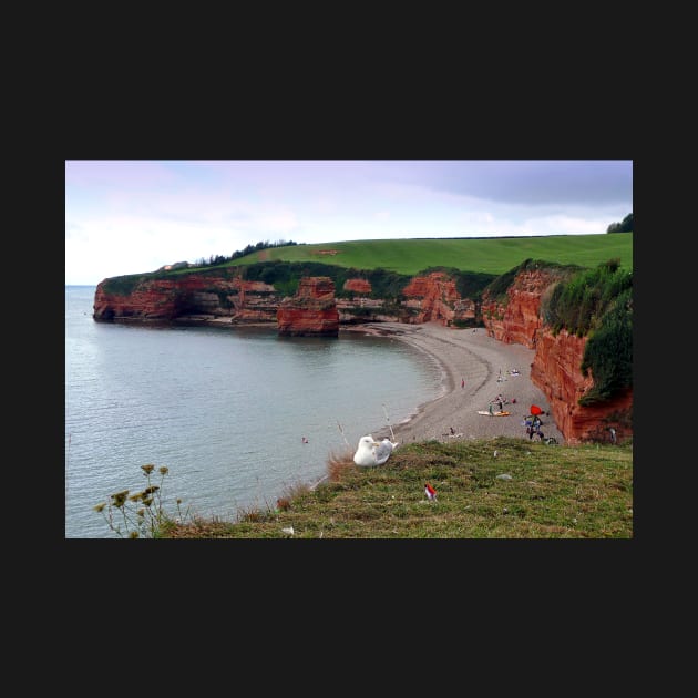 Ladram Bay Jurassic Coast Devon England by AndyEvansPhotos