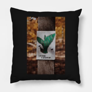 Skunk Cabbage Pillow