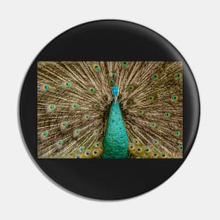 Bird of Paradise Pin