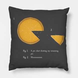 Accurate Pie Chart Pillow