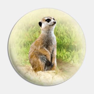 Meerkat Pin