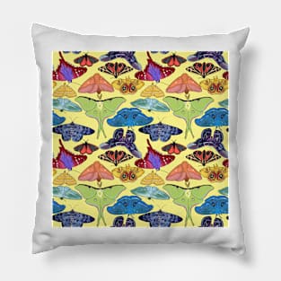 Pride Moth for Pride Month Rainbow on Sunshine Yellow Pillow