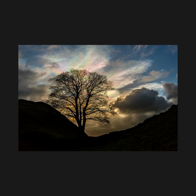 Sycamore Gap Silhouette by Reg-K-Atkinson