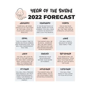 2022 Year of the Snake Chinese Horoscope Luck Predictions T-Shirt