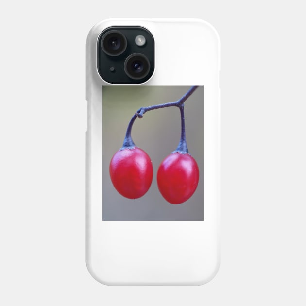 Bittersweet nightshade berries Phone Case by SDym Photography