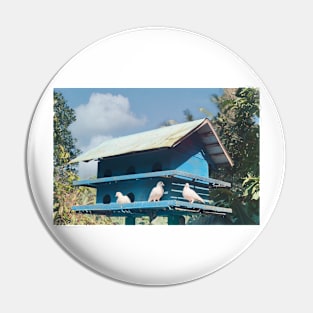 My Peaceful Dove Nest Blue Vintage Vietnamese Countryside Beautiful Scene Pin