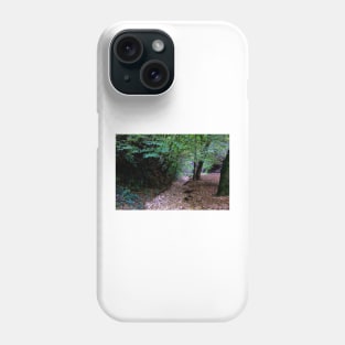 A walk in the woods Phone Case