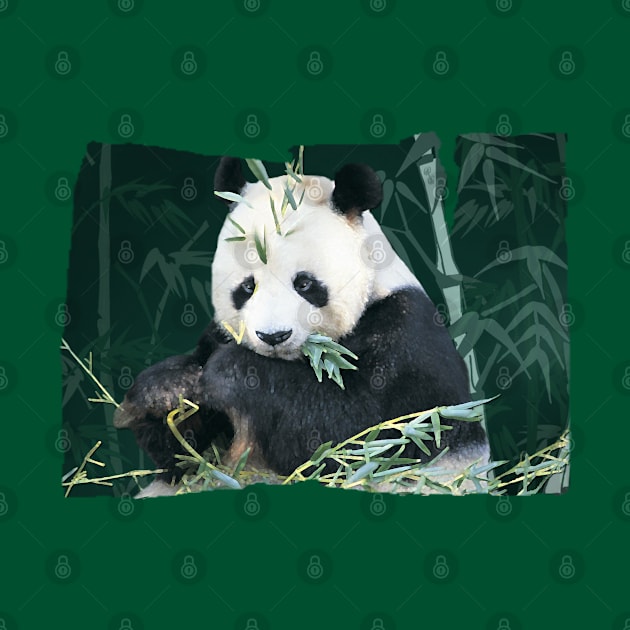 Panda With Bamboo by quingemscreations