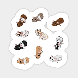 Hammie Sticker Sheet Magnet