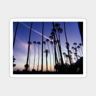 Palm Tree Sunset. Los Angeles CA Magnet