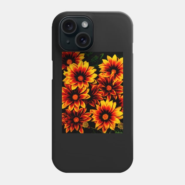 Gazania Flowers Phone Case by PictureNZ