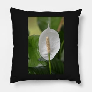 Peace Lily Pillow