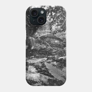 Vintage photo of Amazon Rainforest Phone Case