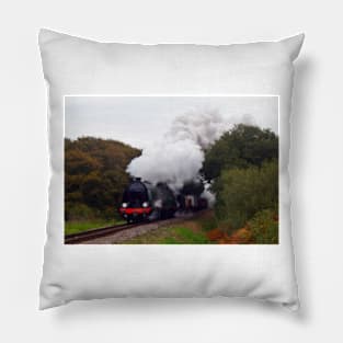 Swanage Branch Freight 2 Pillow