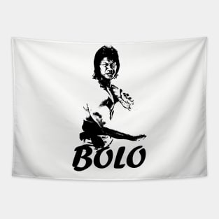 Bolo Tapestry